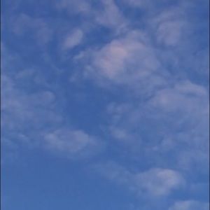 Meet your Posher, Dylan